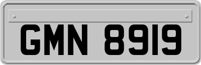 GMN8919