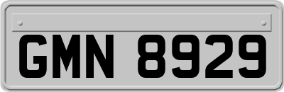 GMN8929