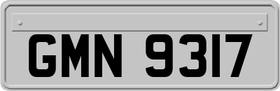 GMN9317