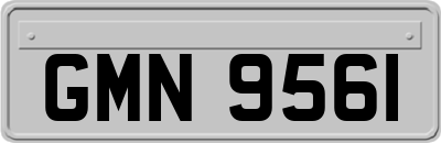GMN9561