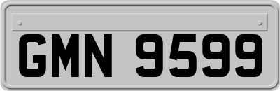 GMN9599