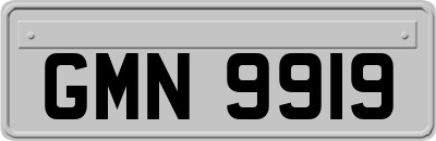 GMN9919