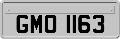 GMO1163