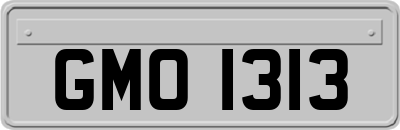 GMO1313