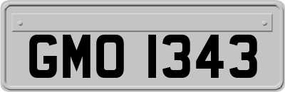 GMO1343