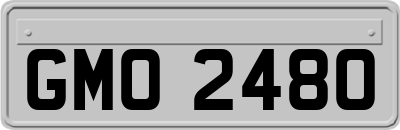 GMO2480
