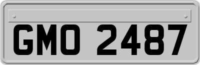 GMO2487