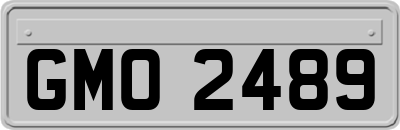 GMO2489