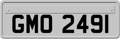 GMO2491