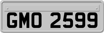 GMO2599