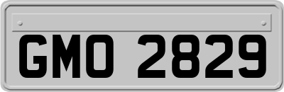 GMO2829