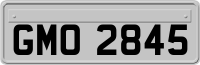 GMO2845