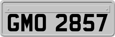 GMO2857