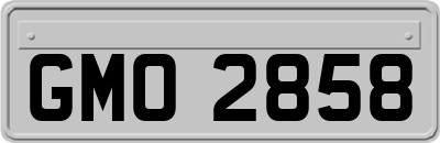 GMO2858