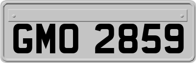 GMO2859