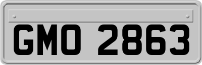 GMO2863