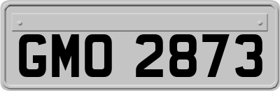 GMO2873
