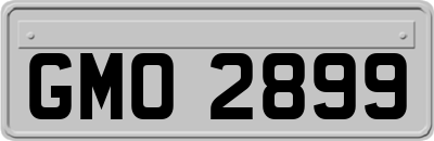 GMO2899