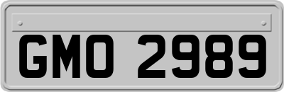 GMO2989