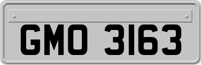 GMO3163