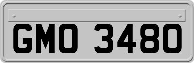 GMO3480