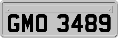 GMO3489