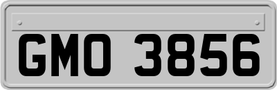 GMO3856