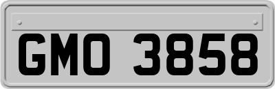 GMO3858