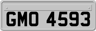 GMO4593