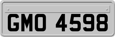 GMO4598