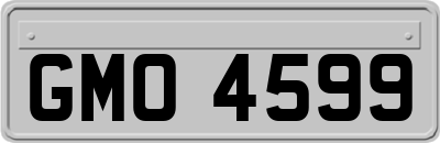 GMO4599