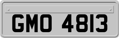 GMO4813