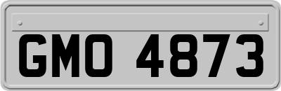 GMO4873