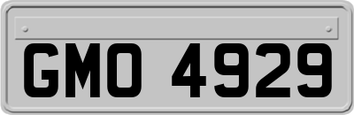 GMO4929