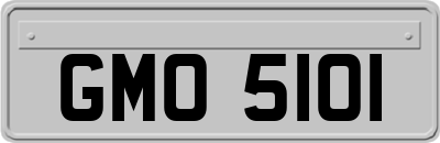 GMO5101