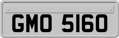 GMO5160