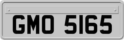 GMO5165