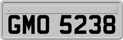 GMO5238