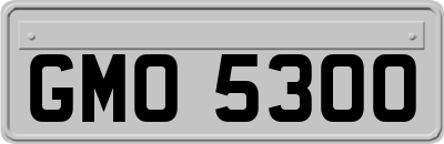 GMO5300