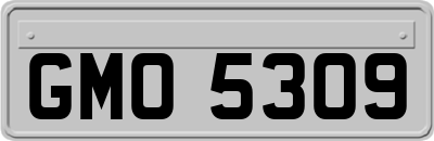 GMO5309
