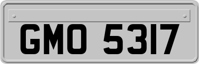 GMO5317