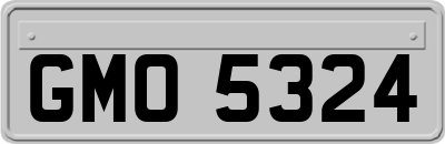 GMO5324
