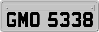 GMO5338