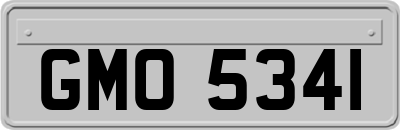 GMO5341