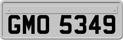 GMO5349