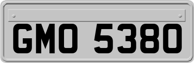 GMO5380