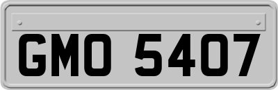 GMO5407