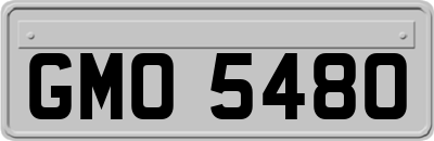 GMO5480