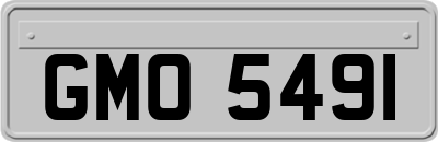 GMO5491