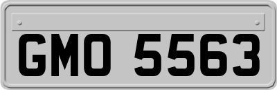 GMO5563